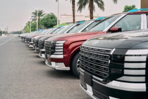 Phân biệt các phiên bản Palisade Hybrid 2026
